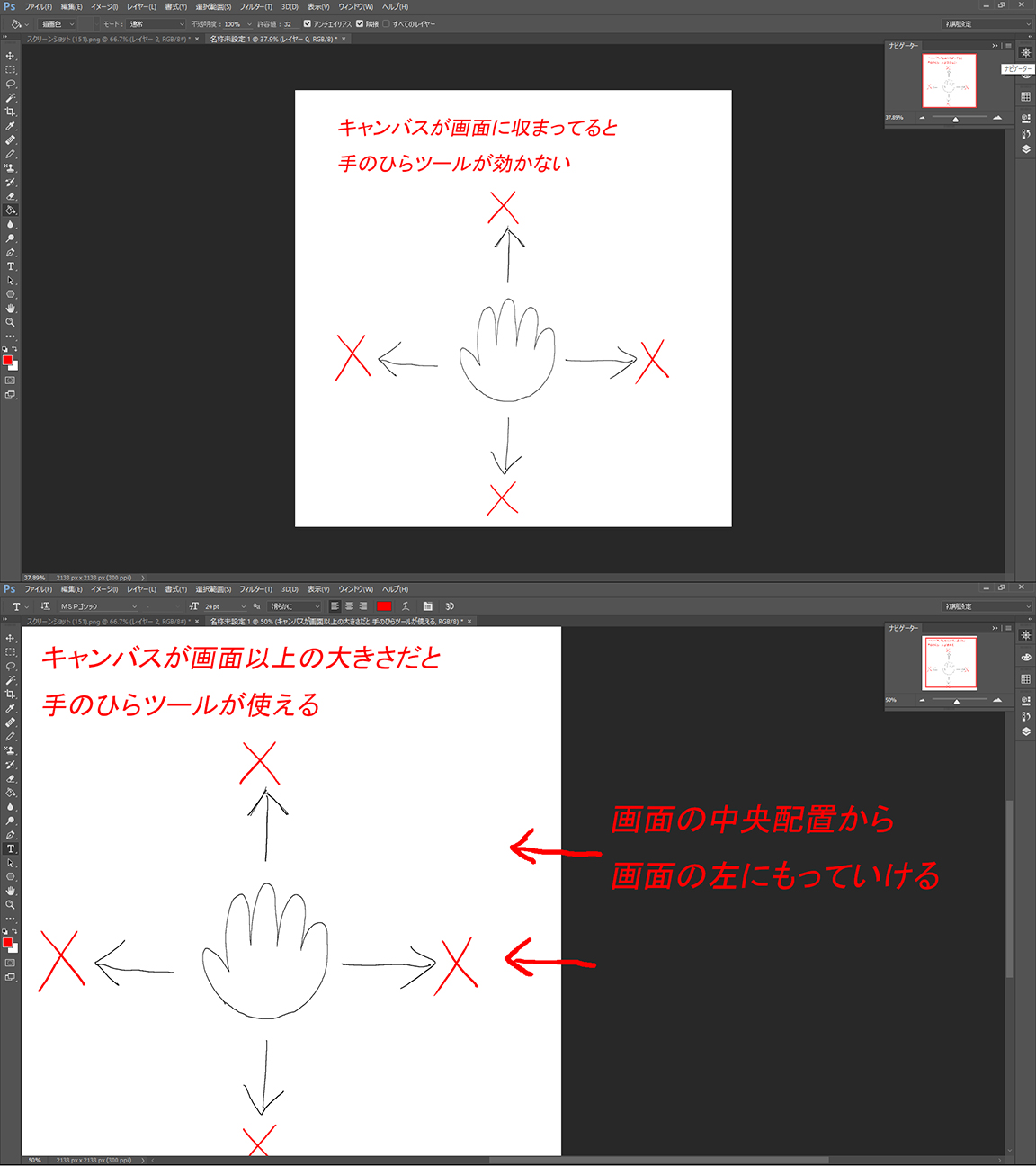 手のひら.jpg