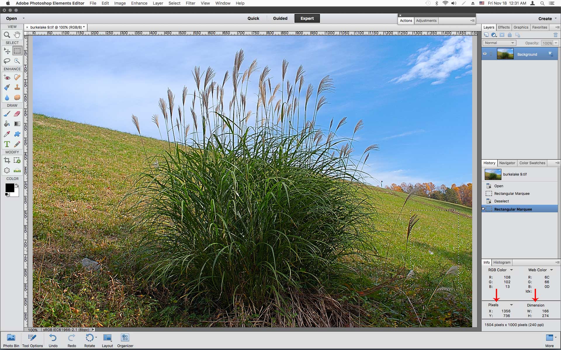 Adobe 2024 Photoshop Elements 11 Windows Mac