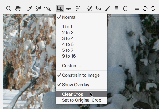 Solved: Restore Aspect Ratio in Camera Raw - Adobe Support Community