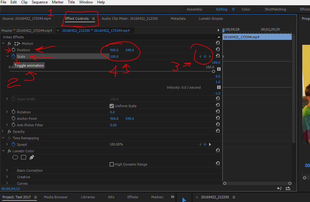 sony vegas versus adobe premiere