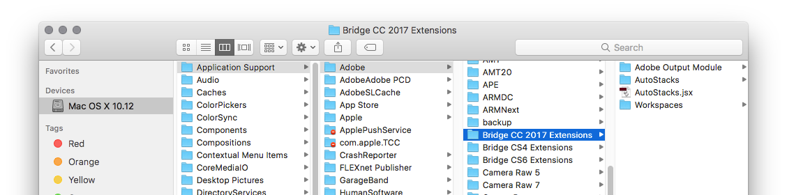 output module for bridge 2017 mac