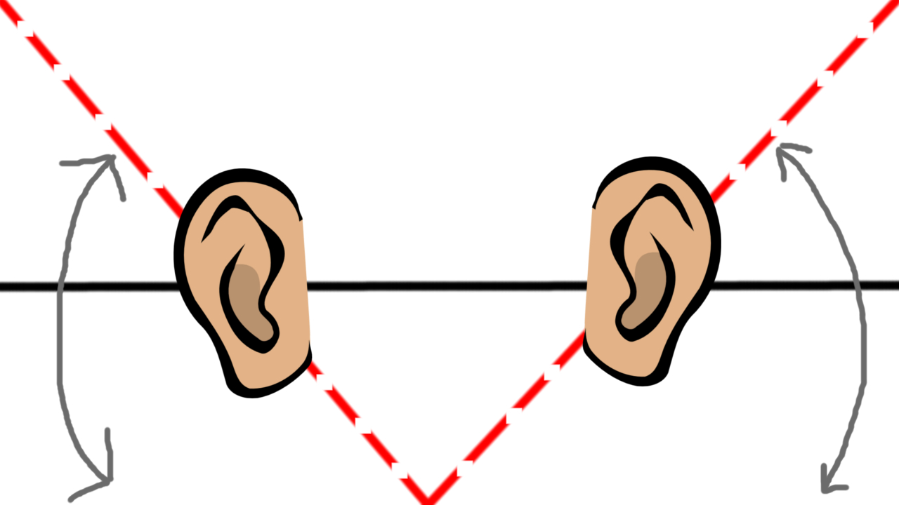 ears.jpeg