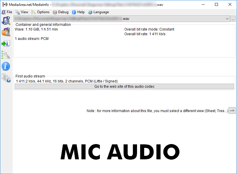 mic.jpg