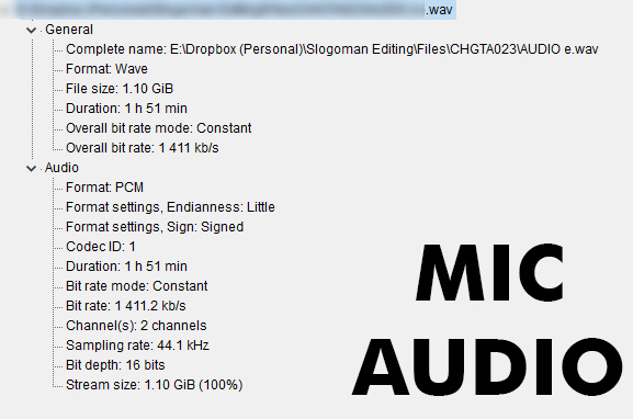 mic.jpg