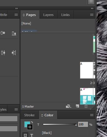 IndesignPagesPannel_2.JPG