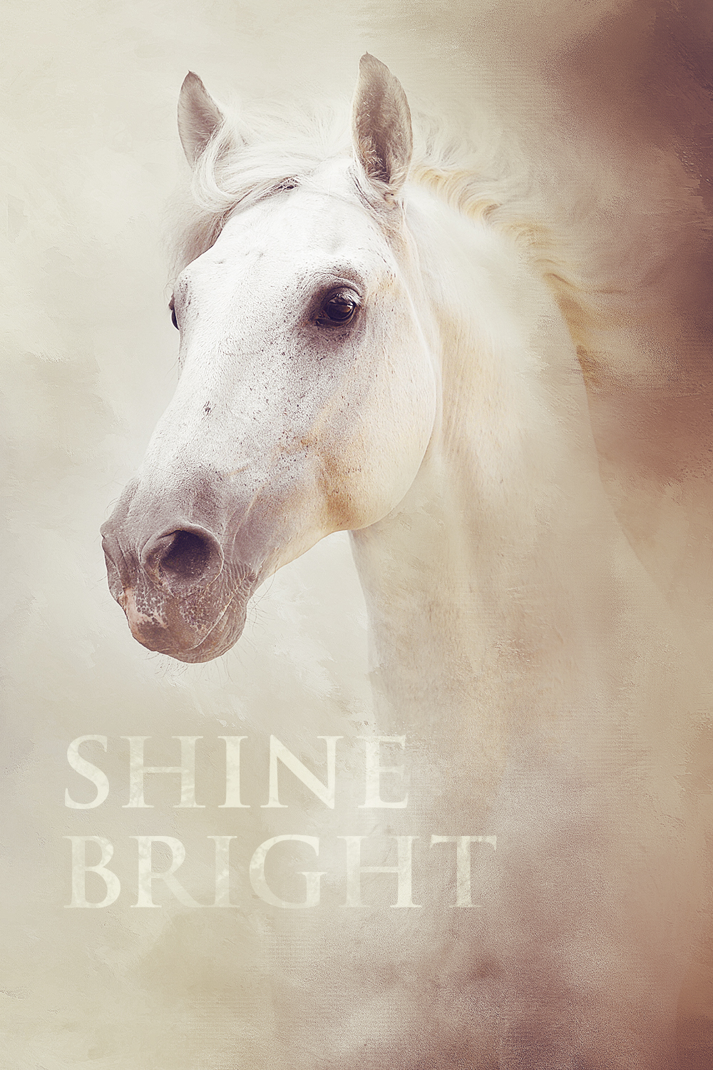 horse-art-bright.jpg