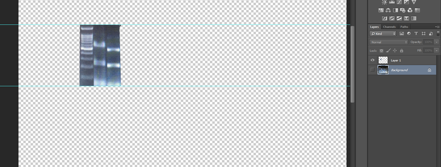 erge.PNG