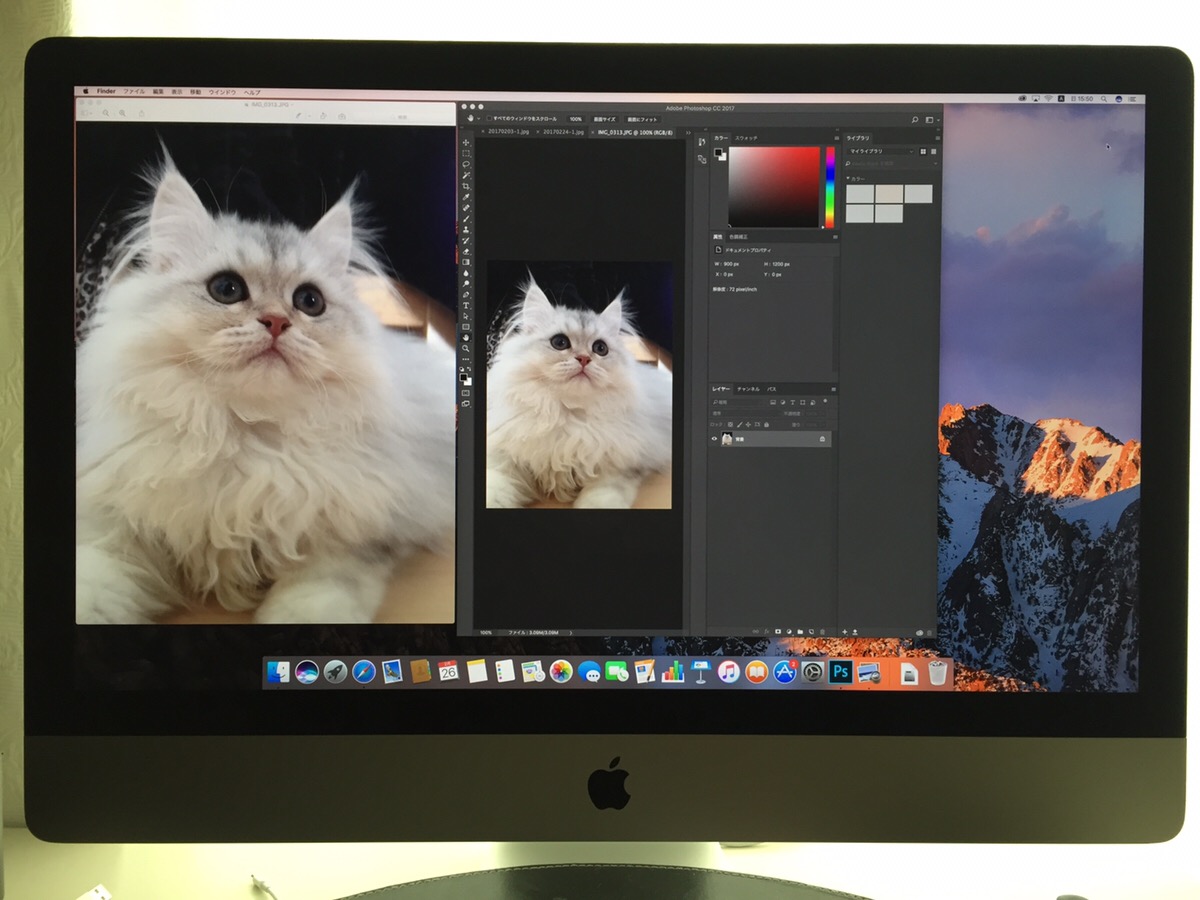 解決済み: 買い換えた新imacでは以前より画像が小さくなって表示されてしまいます。 - Adobe Community - 8876988