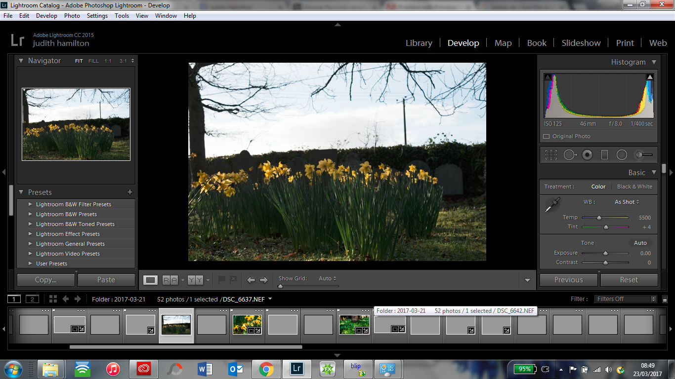Problem with Filmstrip Adobe Community 8918285