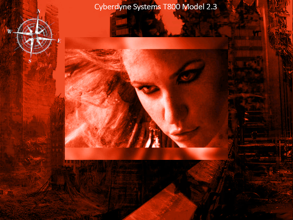 Terminator-HUD2.gif