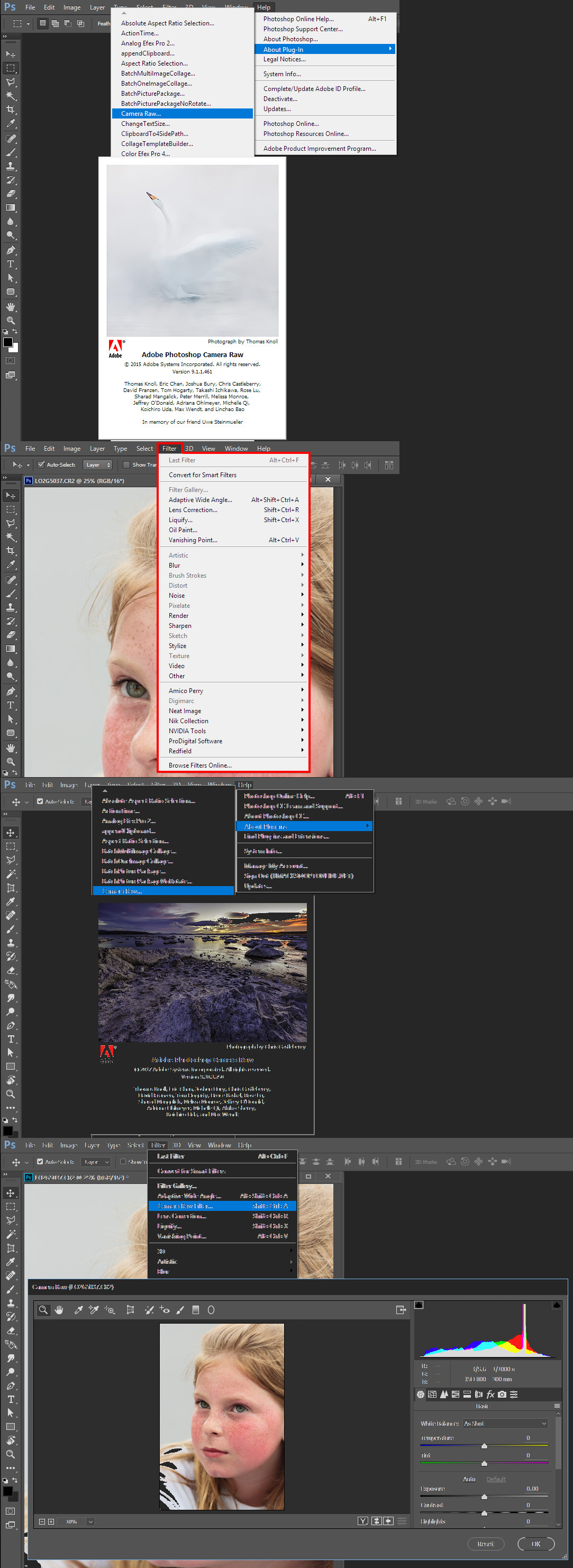 camera raw for cs6 free download for mac