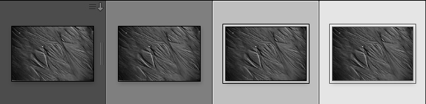 ScreenShot045.jpg