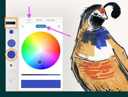 Apple Color Picker / Panel is missing the 