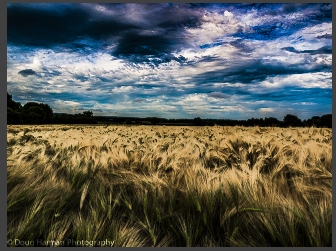 ScreenShot094.jpg