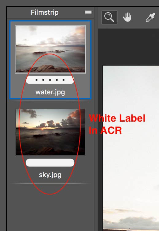 acr-white-label.png