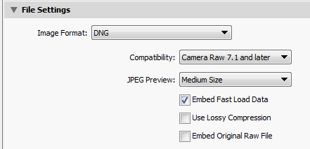 adobe dng converter not recognizing cr2 files