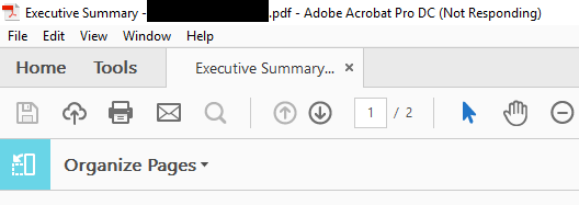 Adobe_not_responding.png