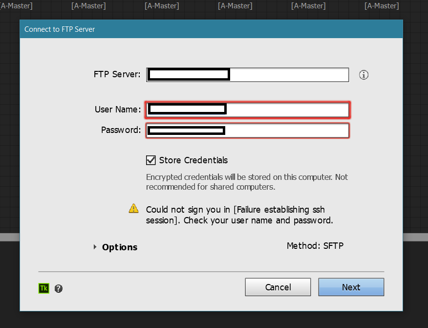 ws ftp server web sftp