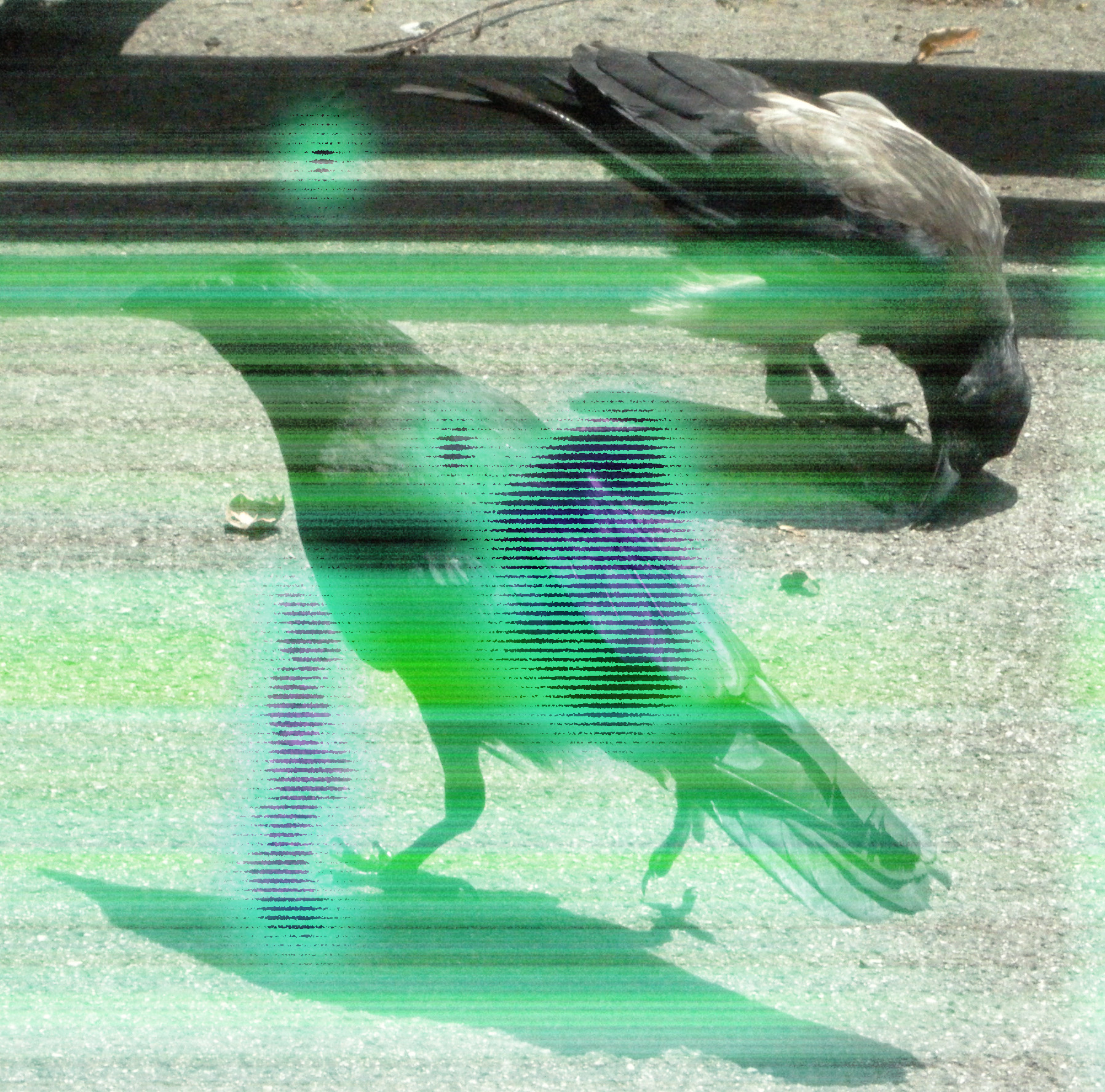 simulateAnalogeFilmDamage.jpg