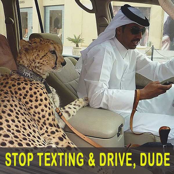 STOP-TEXTING-DUDE.jpg