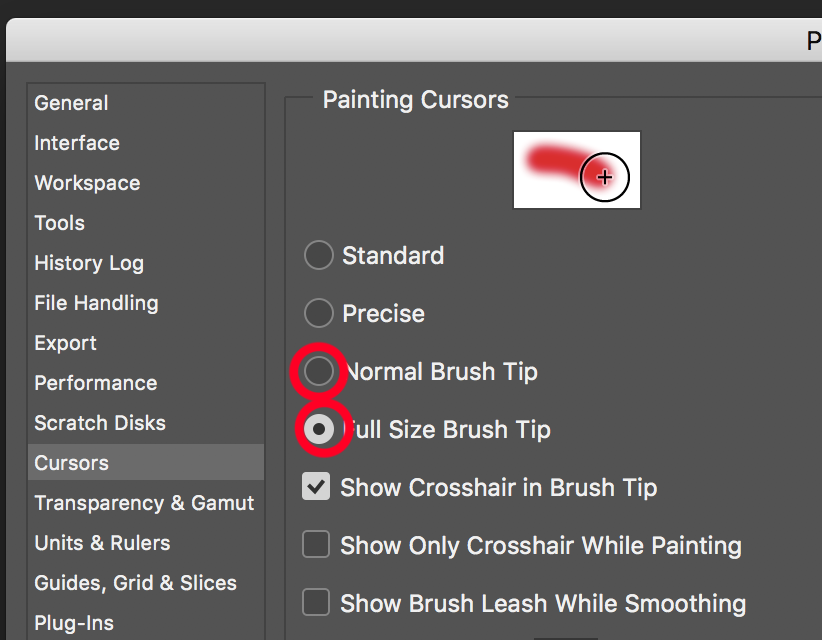 How do I change the paint brush tool mouse back to the circle? : r/photoshop