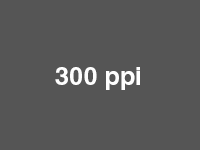 300ppi.png