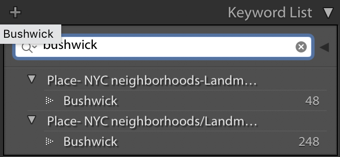 Bushwick.png