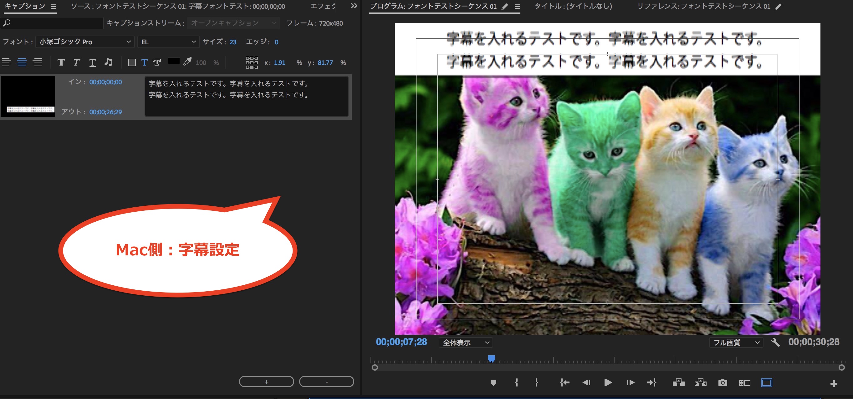 Adobe Photoshop & Premiere Windows/Mac対応