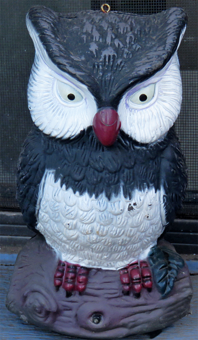 owlie.png