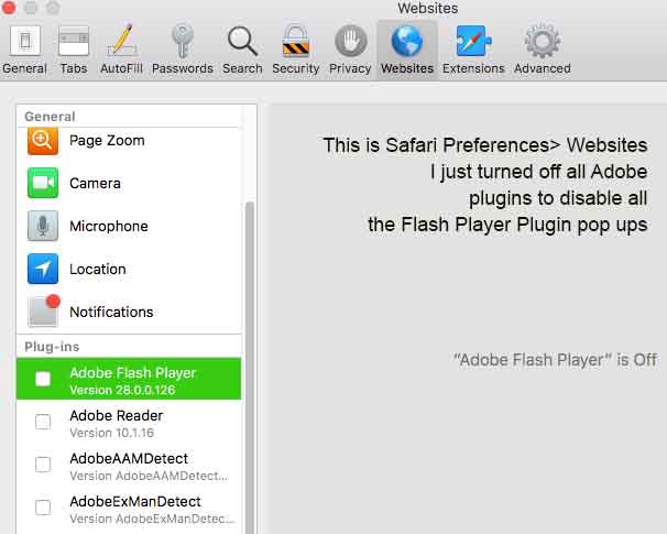 flash for safari download