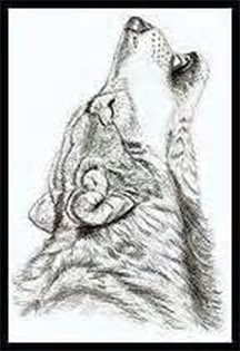 wolf.jpg