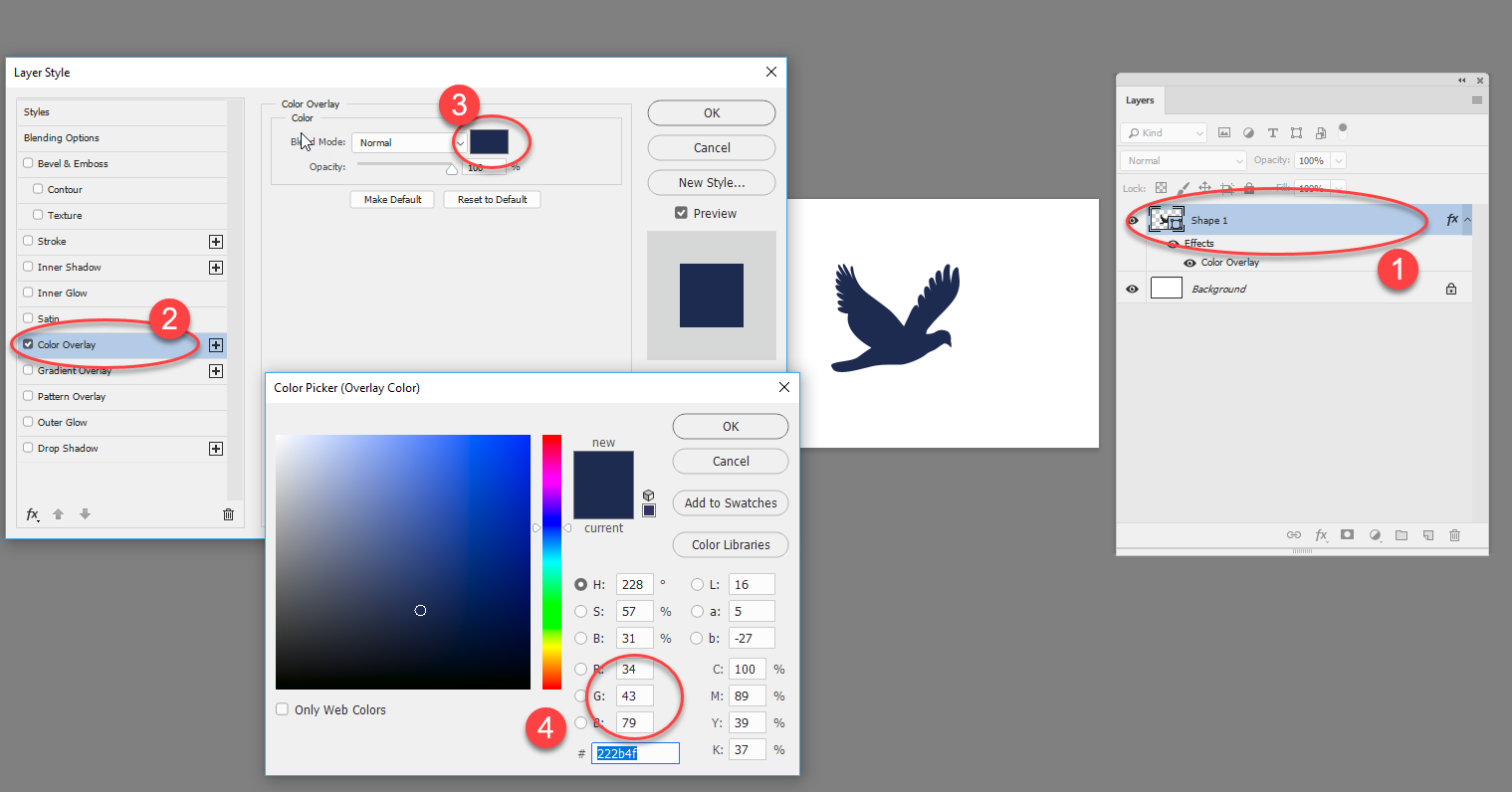 solved-how-can-i-change-black-and-white-vector-to-a-speci-adobe