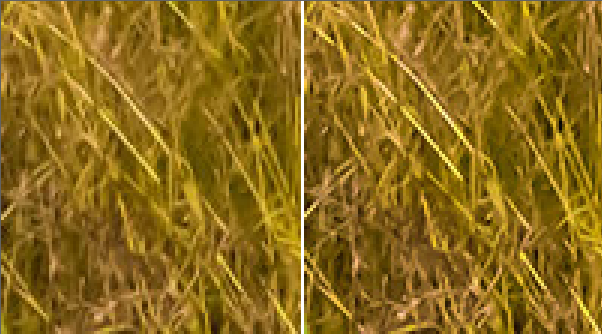 compare1.png