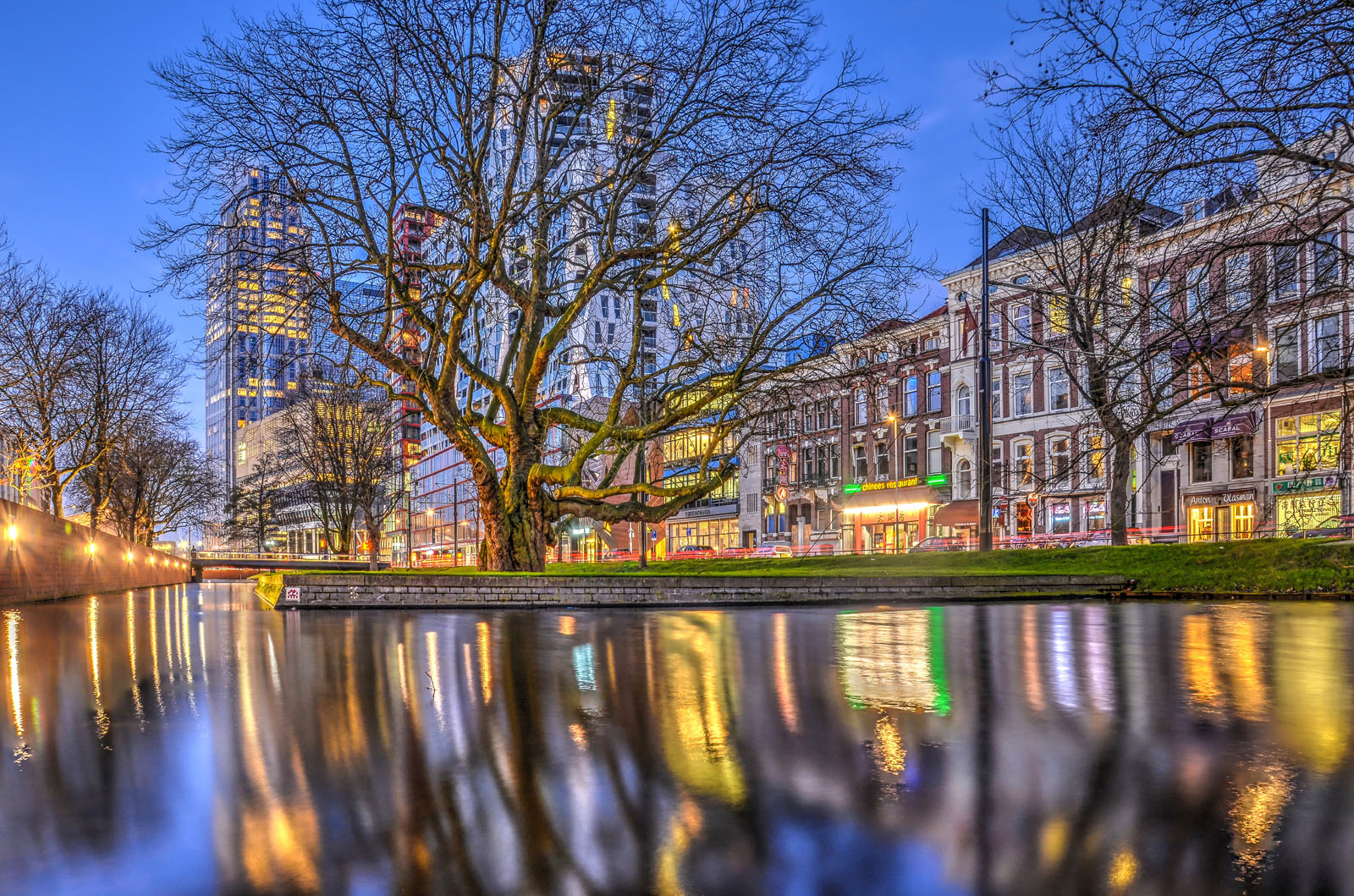 rotterdam-westersingel-avond.jpg