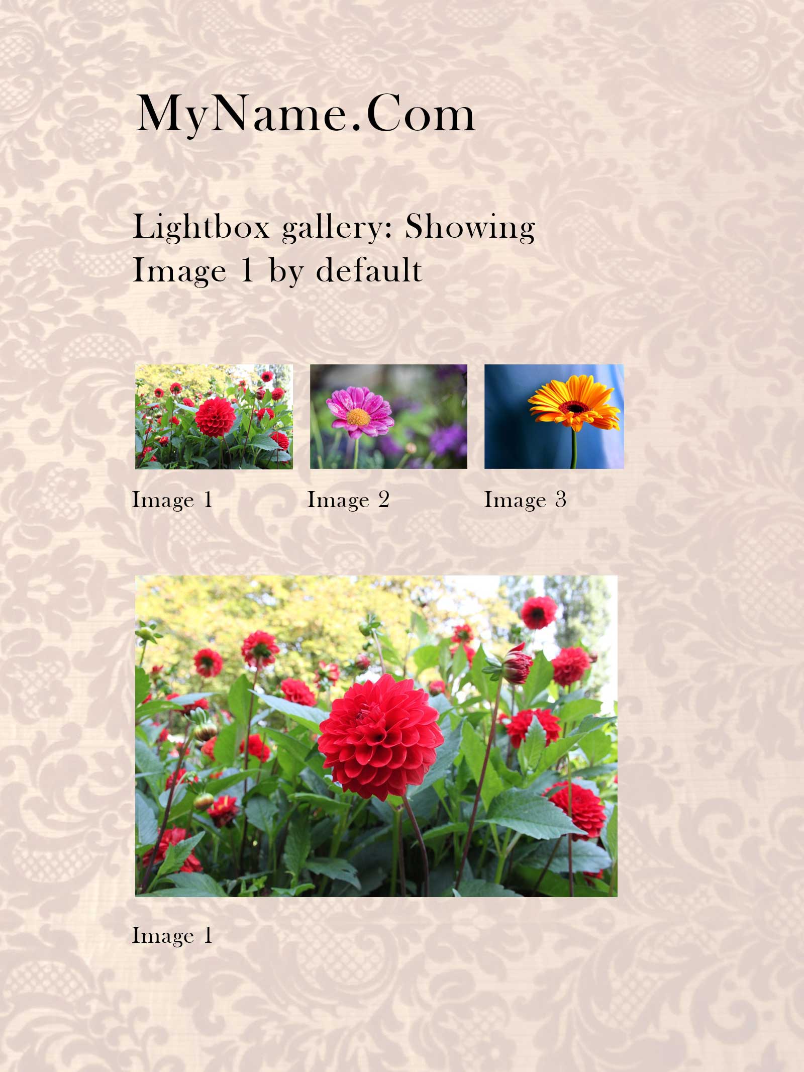 Lightbox-gallery-default.jpg
