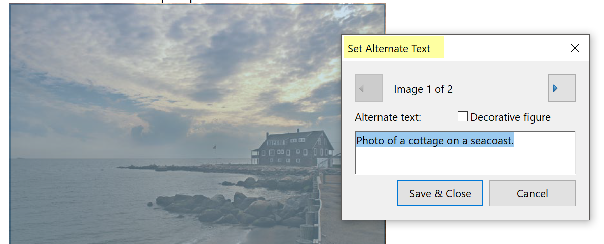 Alt-text.png