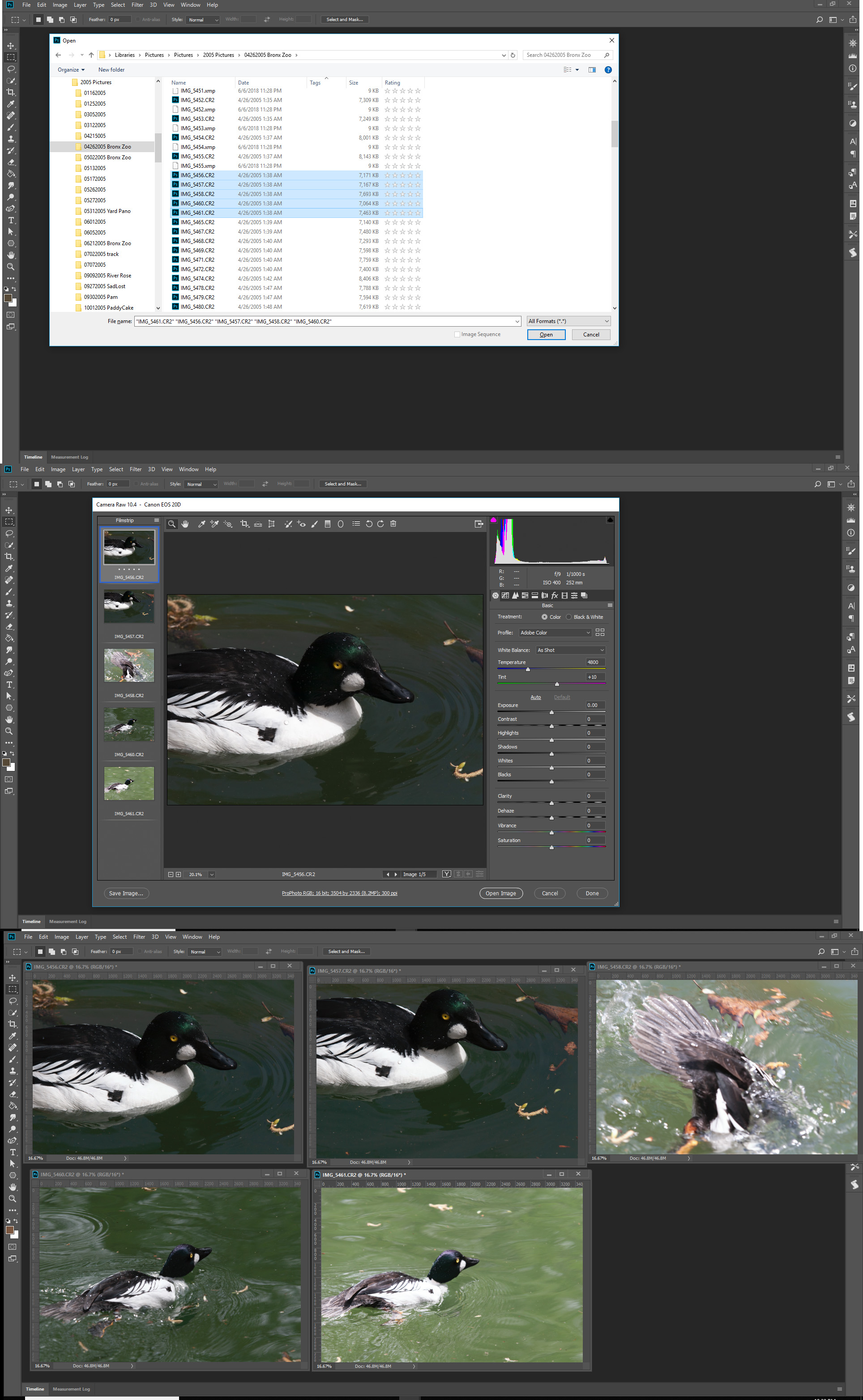 Solved Raw images [keep opening as JPGs] Adobe Community 9931991