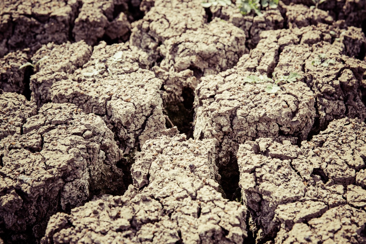 earth_dry_dehydrated_cracked_drought_nature_cracks_ground-696870.jpg