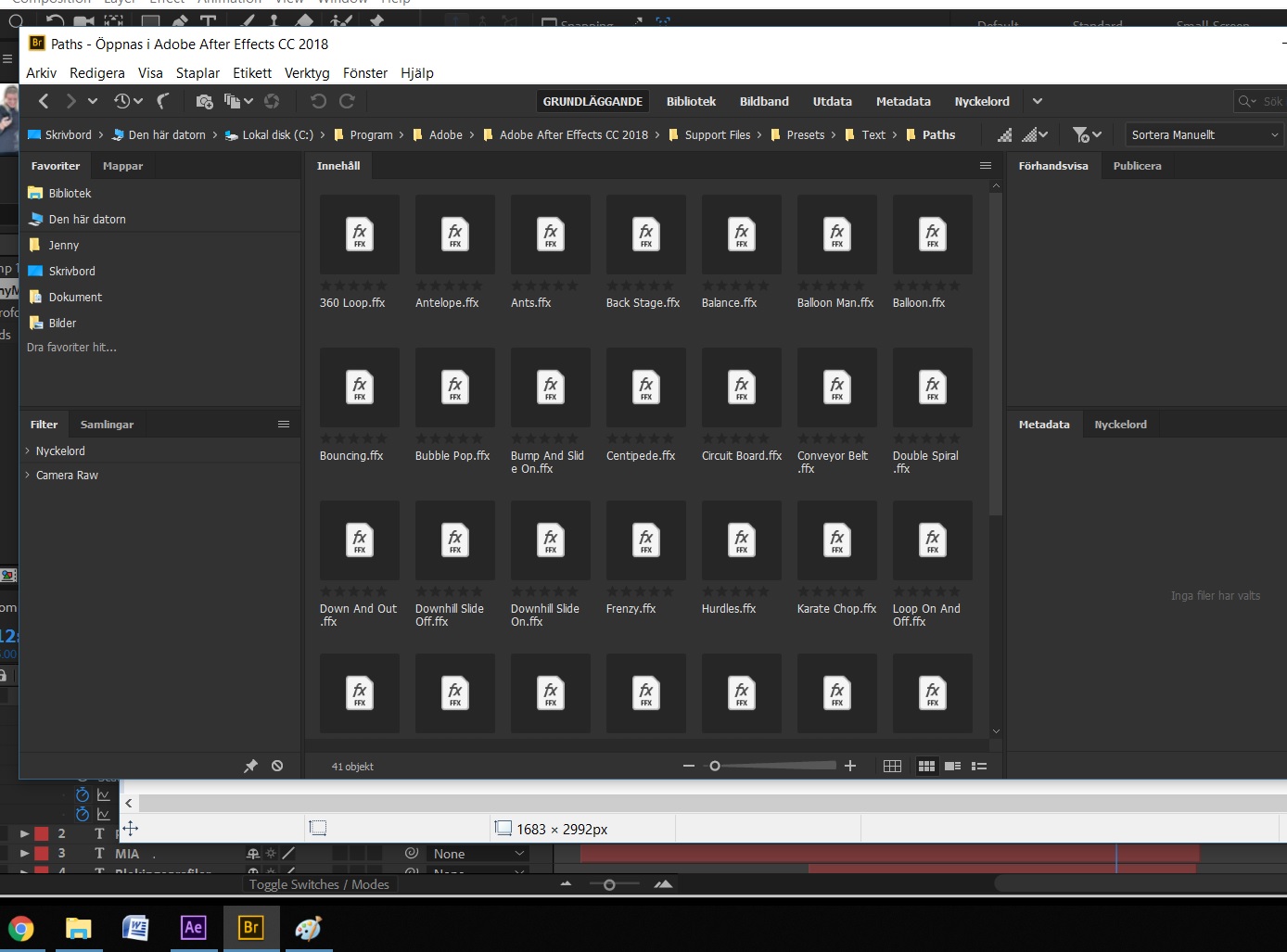 Help With Preview In Adobe Bridge Cc 2019 Adobe Community 10158272