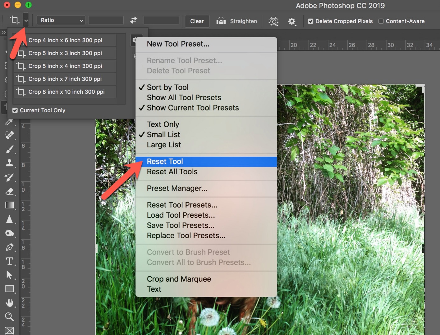 How to Crop an Image in Photoshop