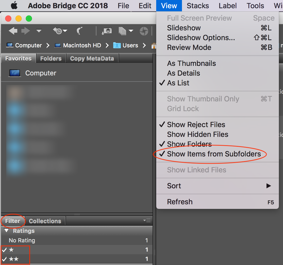 bridge-setup.png