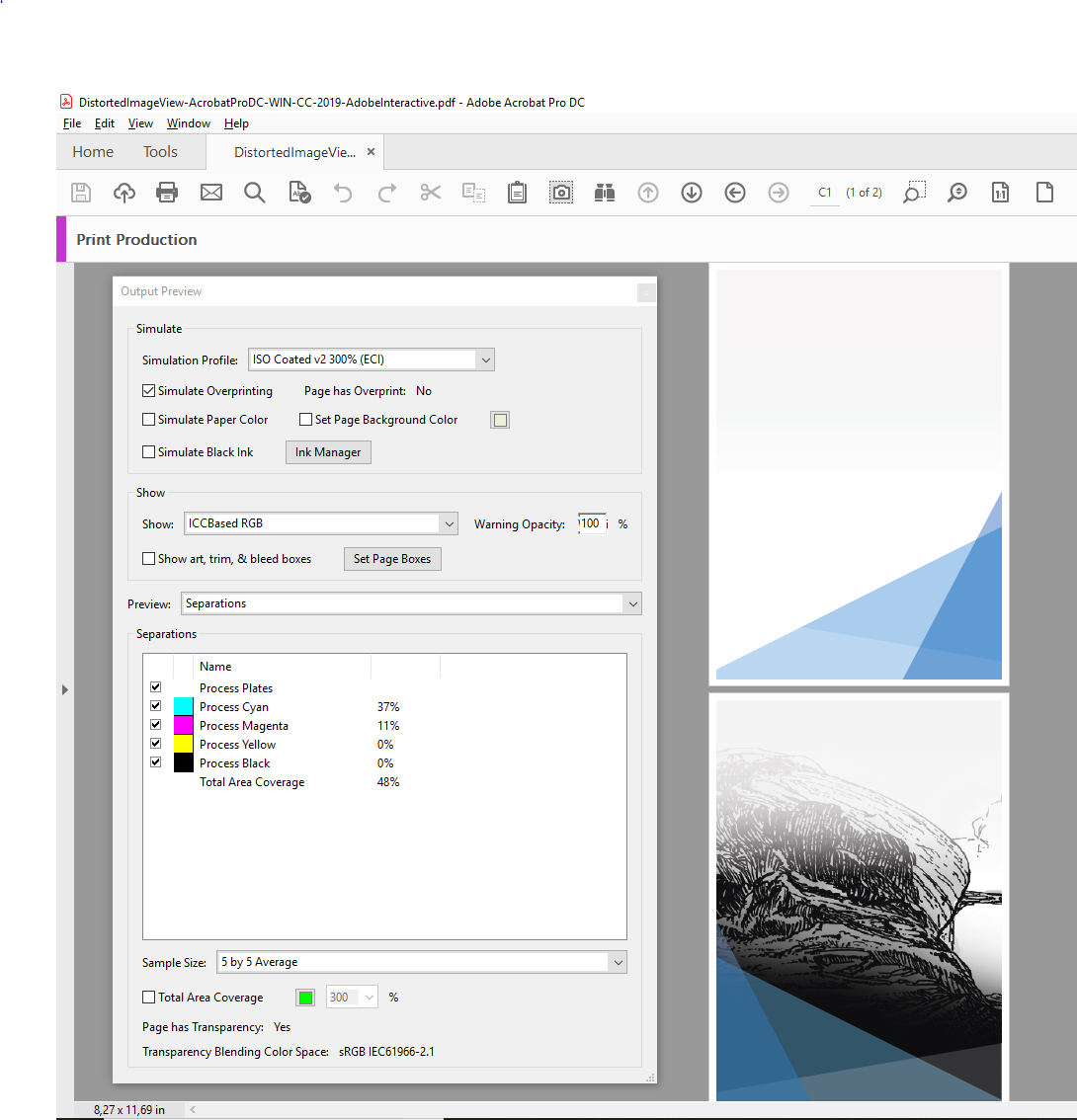 AcrobatProDC-WIN-Show-OutputPreview-ICCBased-RGB.PNG