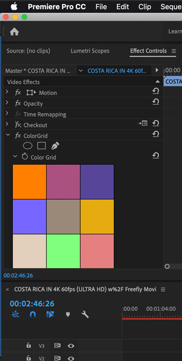 AE-Color-Grid.jpg