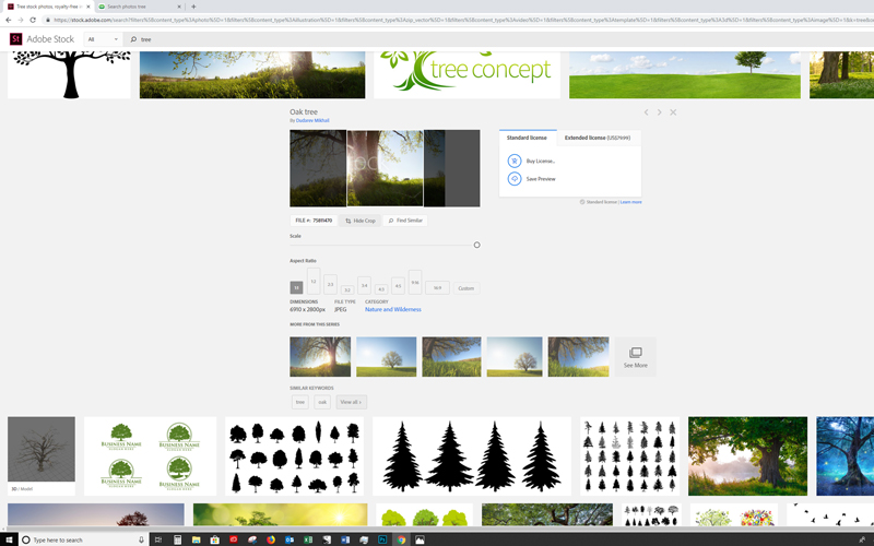 image-preview_tree-adobe-stock.jpg