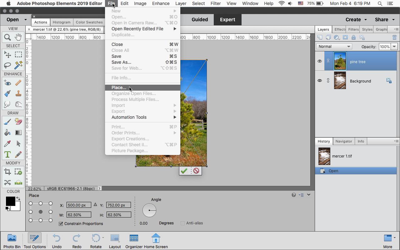 Solved Embed Photo In Elements 15 Adobe Support Community