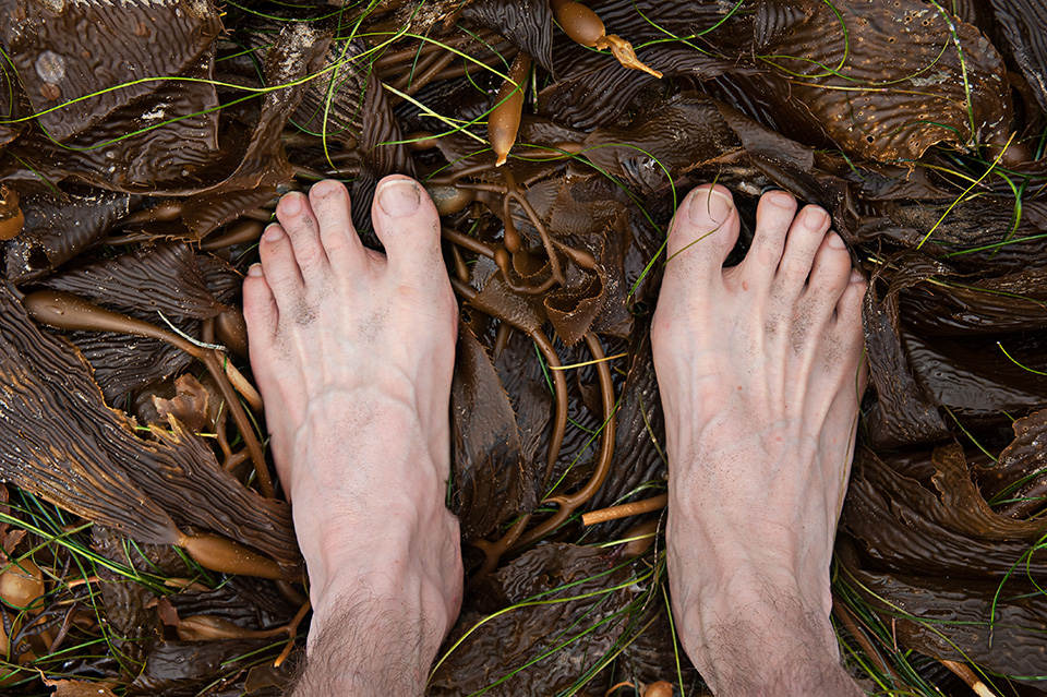 feet-in-kelp.jpg