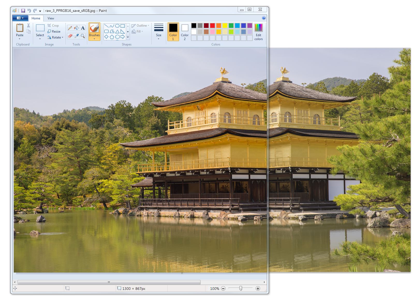 raw_5_PPRGB16_save_sRGB_paint.jpg