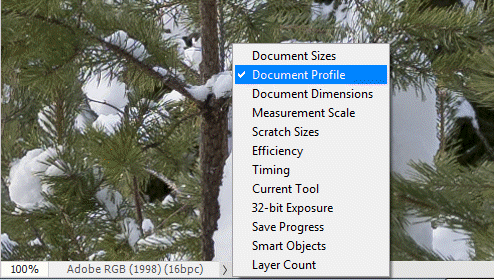 PS-document-profile.png