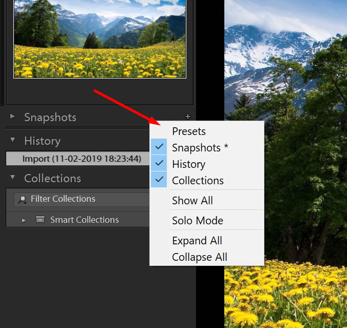 Solved: Preset Folder In Lightroom Classic 2019 - Adobe Community 