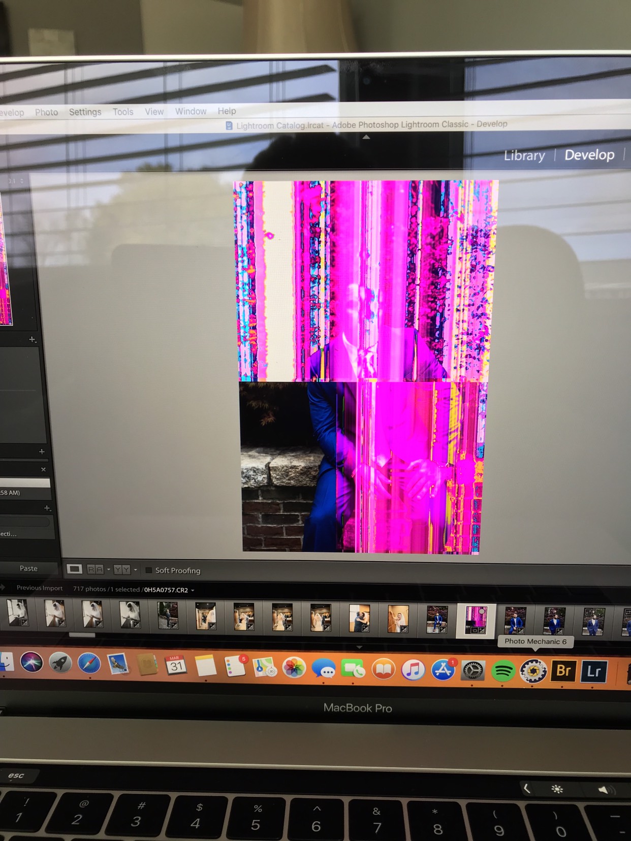 Image-3.png